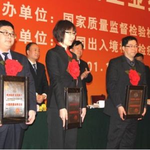 ���|�z��������̎440���|���`������