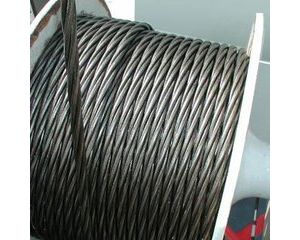 ������䓽z�K�Ę���M�ɼ�e